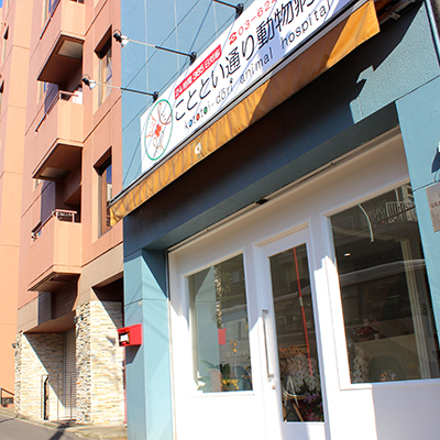 こととい通り動物病院