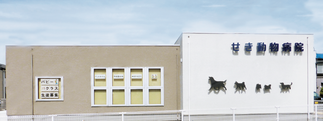 せき動物病院