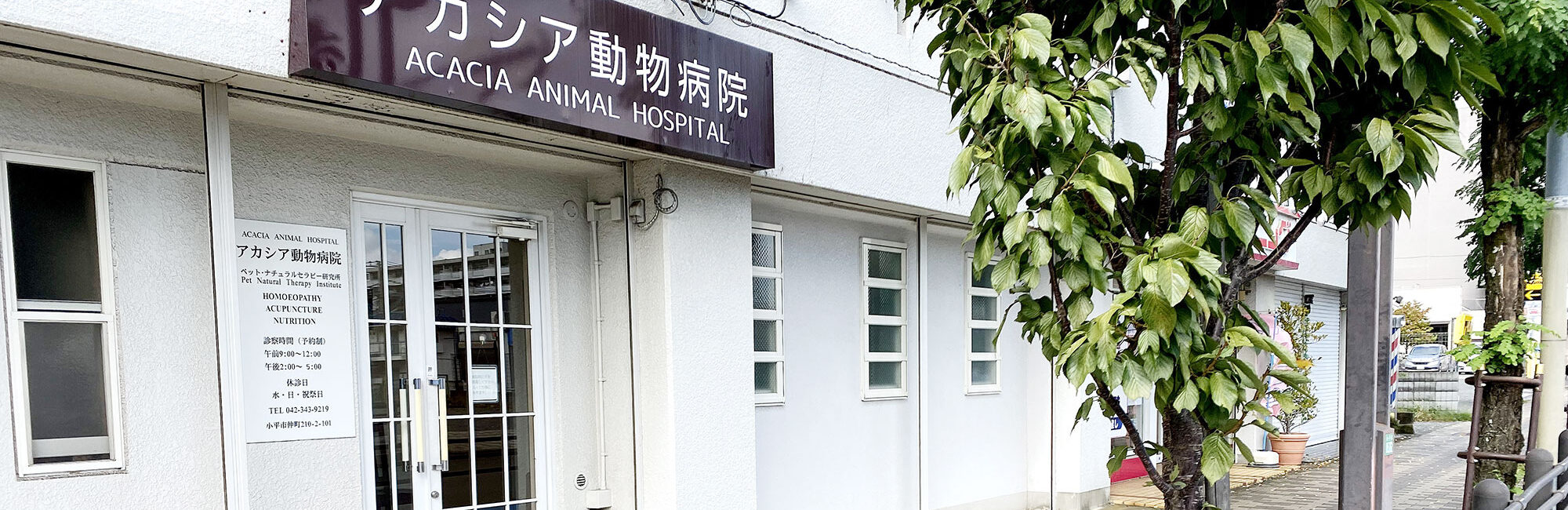アカシア動物病院