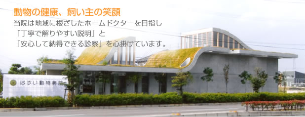 はすい動物病院