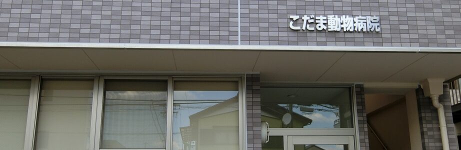こだま動物病院