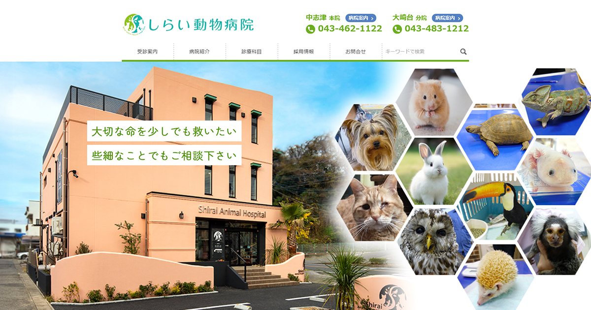 しらい動物病院（中志津本院）