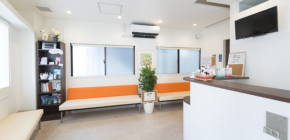 木場きたむら動物病院