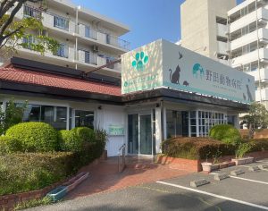 野田動物病院 戸塚分院