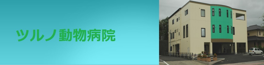 ツルノ動物病院
