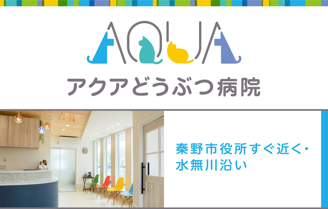 アクアどうぶつ病院