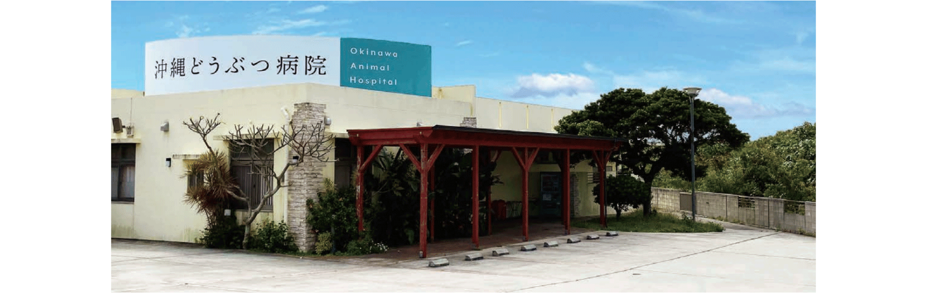 沖縄どうぶつ病院　豊崎医院