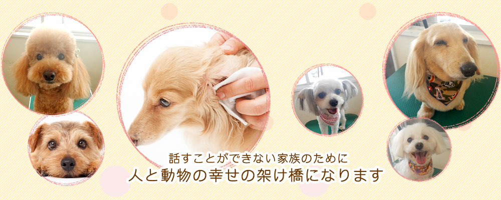 片浜どうぶつ病院