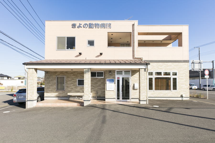 きよの動物病院