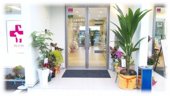 ブレス動物病院