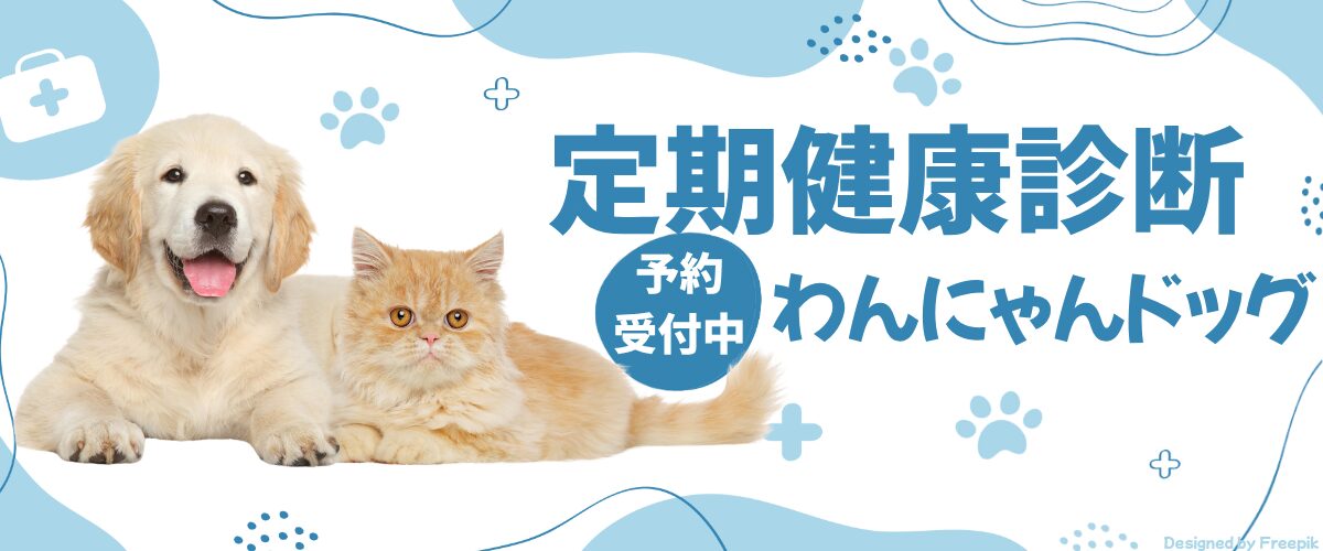 マーレ動物クリニック