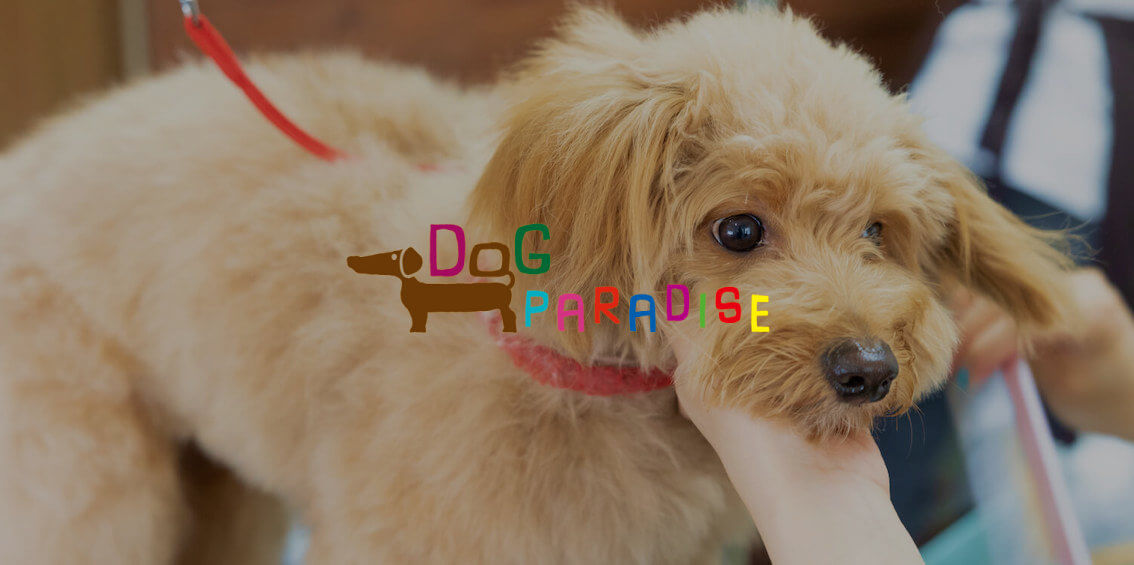 ドッグパラダイス