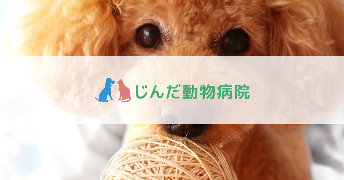 じんだ動物病院