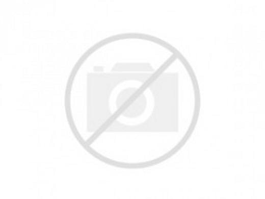 こすもす動物診療所