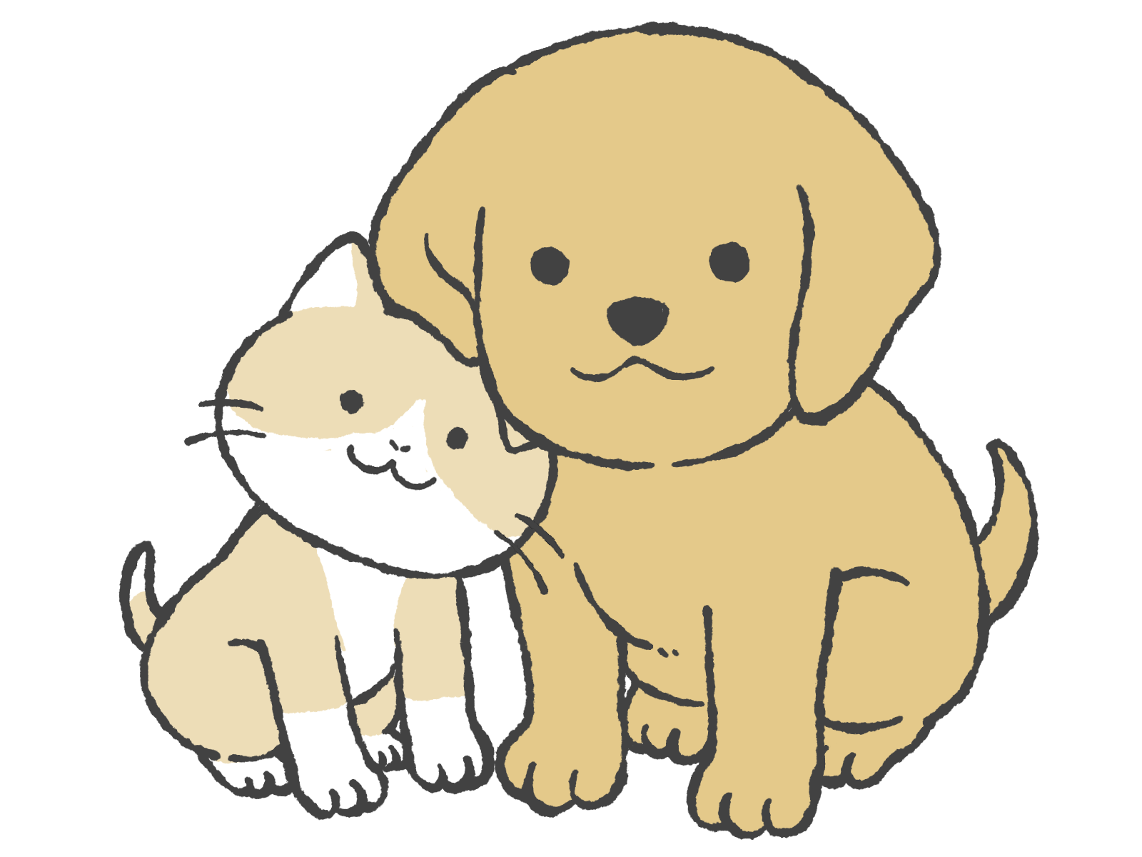 ポラリス往診どうぶつ病院