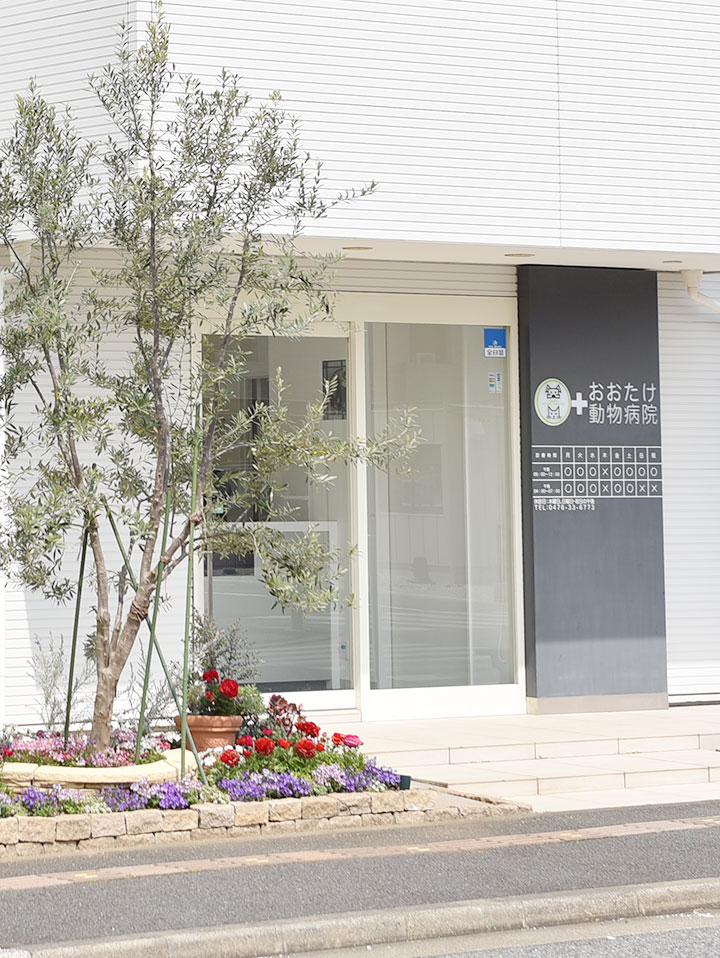 おおたけ動物病院