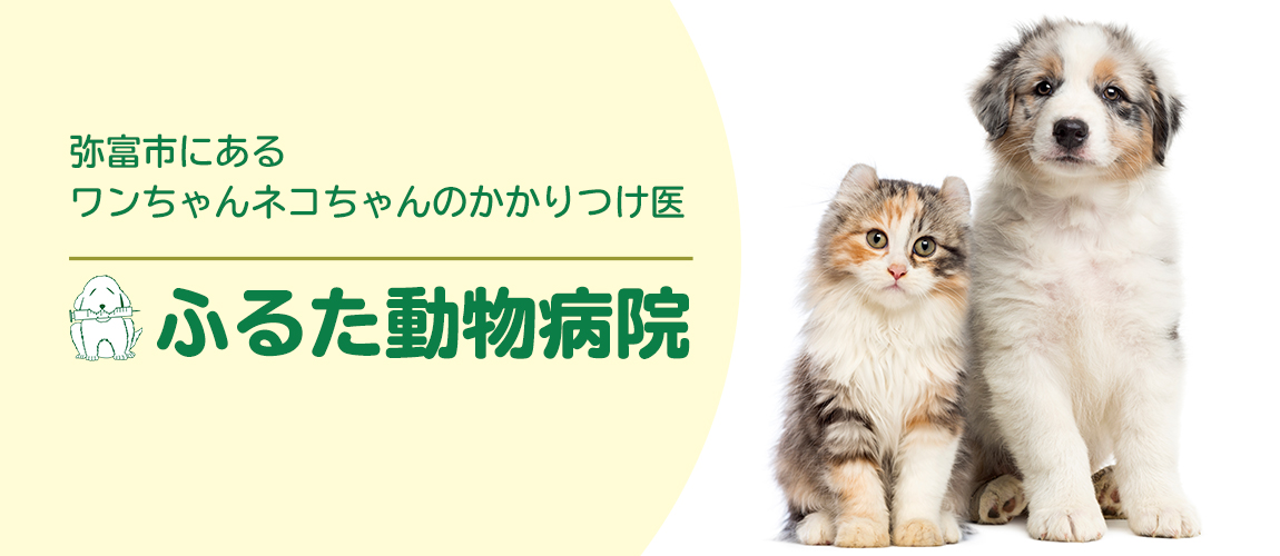 ふるた動物病院