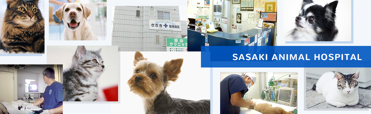 ささき動物病院