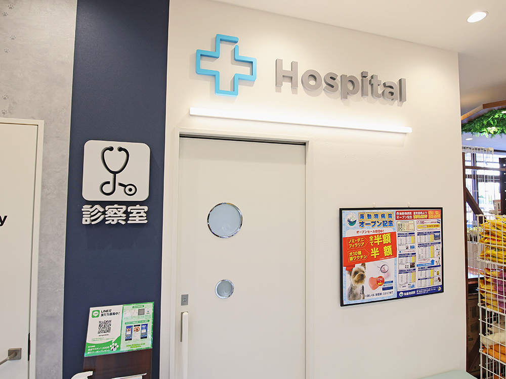 海動物病院　市原往診所