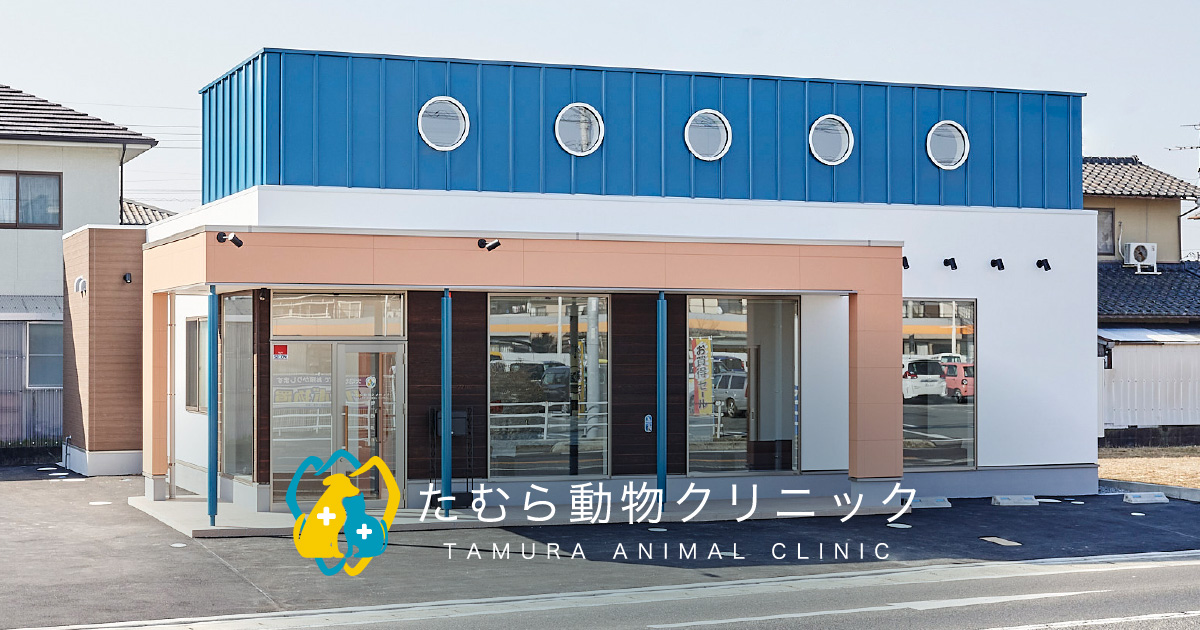 たむら動物クリニック