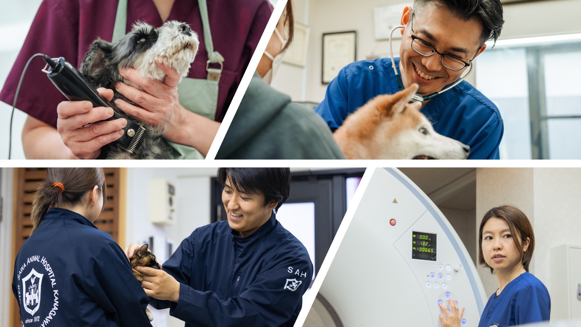 澤動物病院神奈川動物医療センター