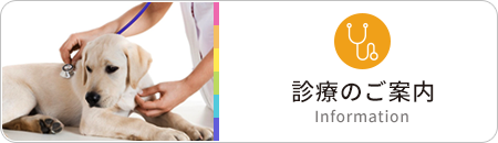 虹の森動物病院