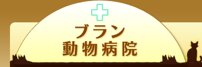 ブラン動物病院