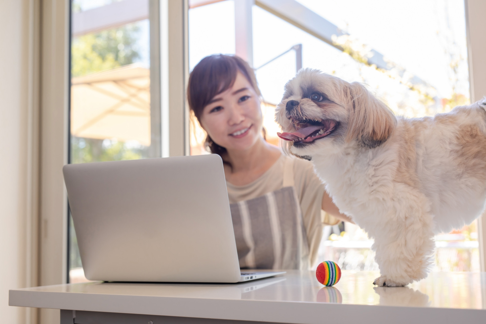 かわい動物病院