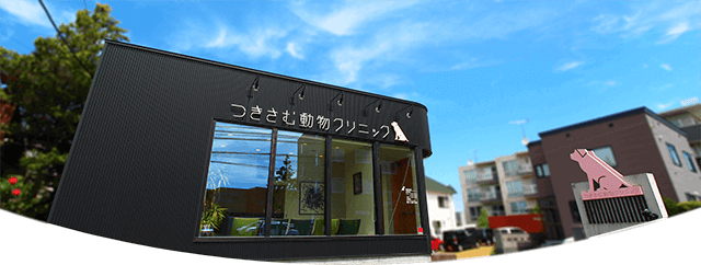 つきさむ動物クリニック