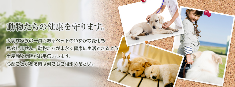 土屋動物病院