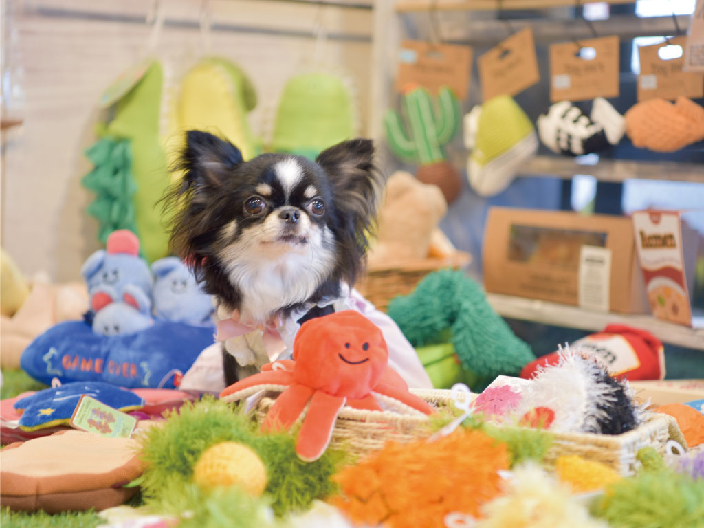 プリティー・ワン 古出来町店