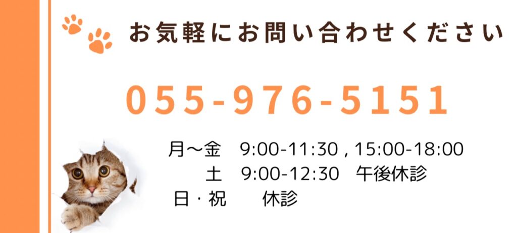 すぎさわ動物病院