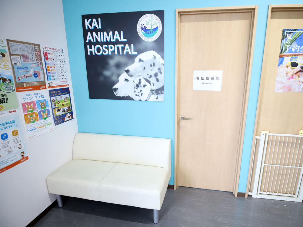 海動物病院　横須賀往診所