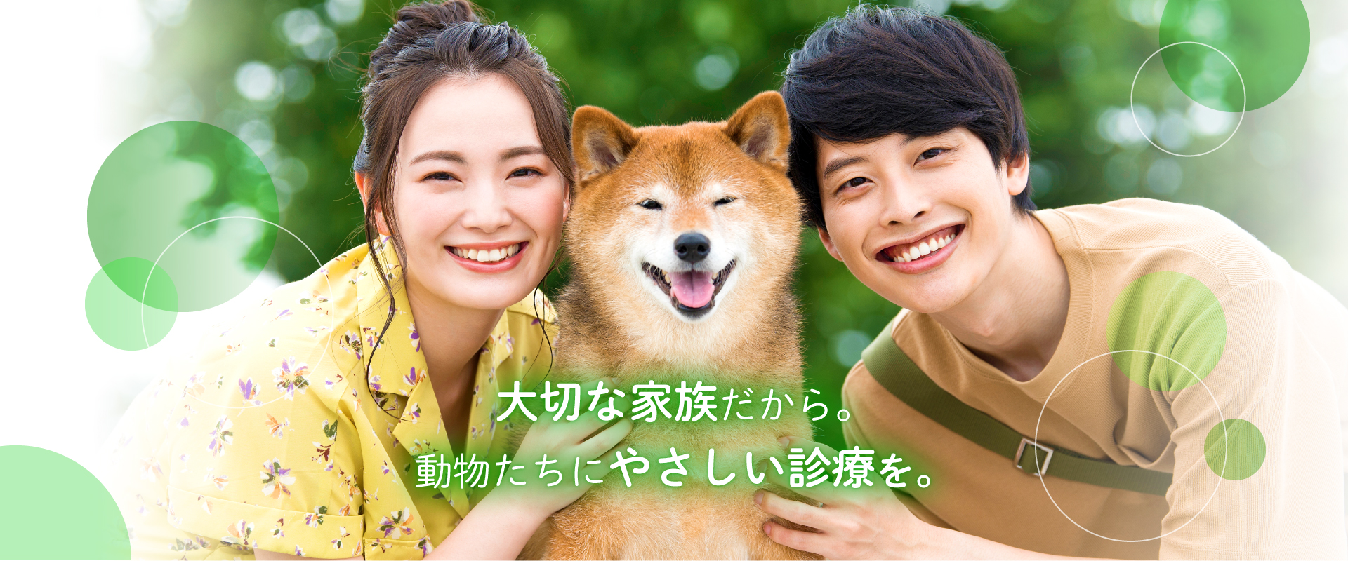 ながさわ動物病院