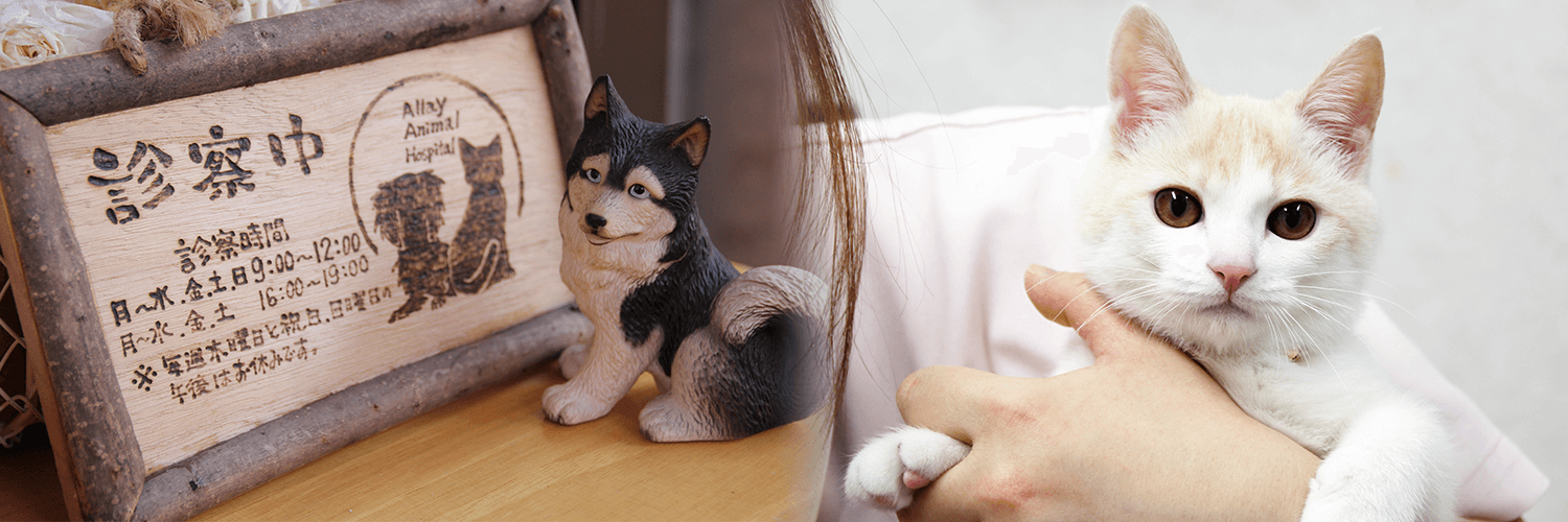 アレイ動物病院