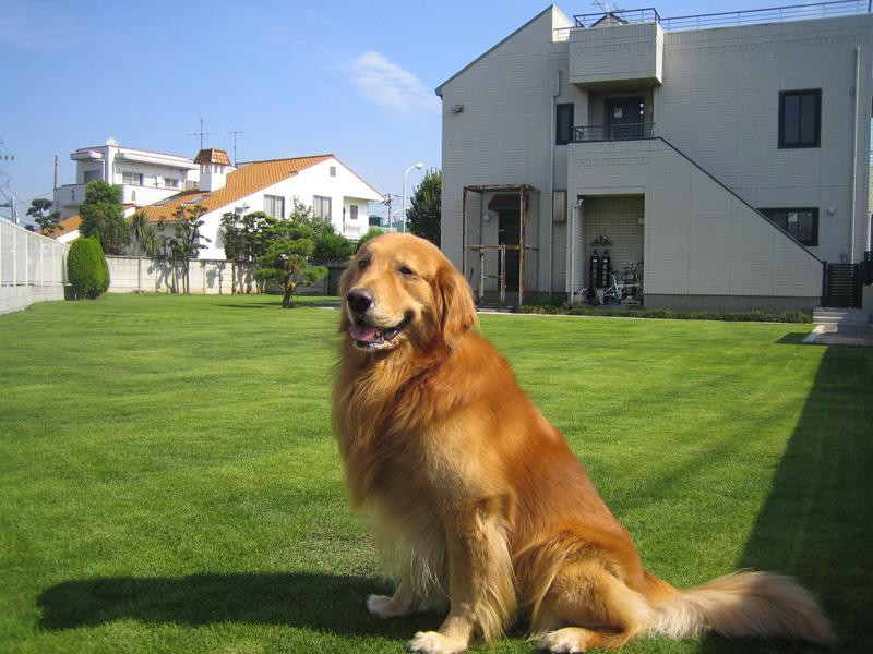 フレンド動物病院