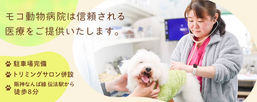 モコ動物病院