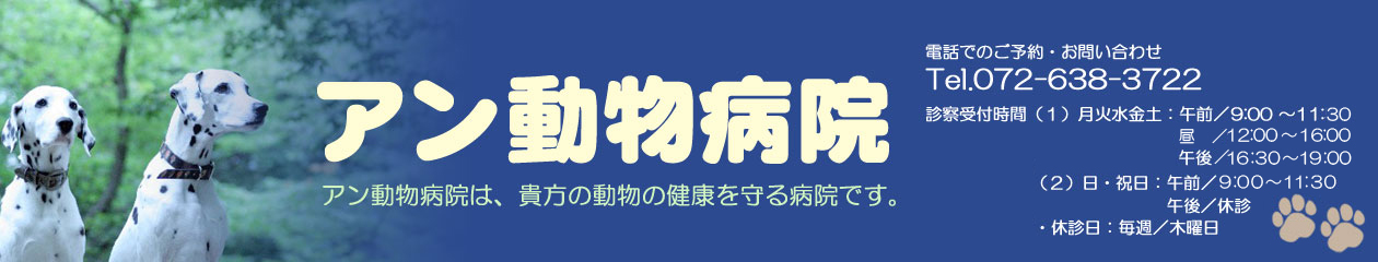 アン動物病院
