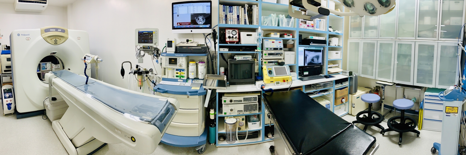 マーサ動物病院　動物医療センター