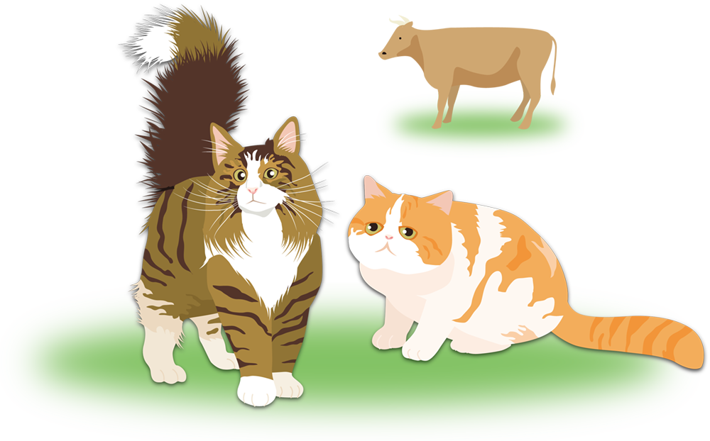 キーストーン動物医療センター石垣