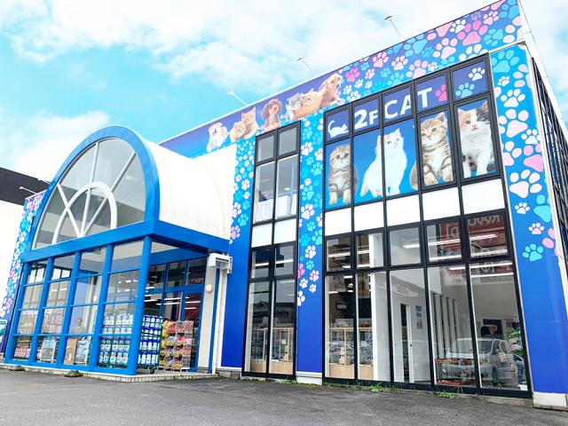 海動物病院　津高茶屋往診所