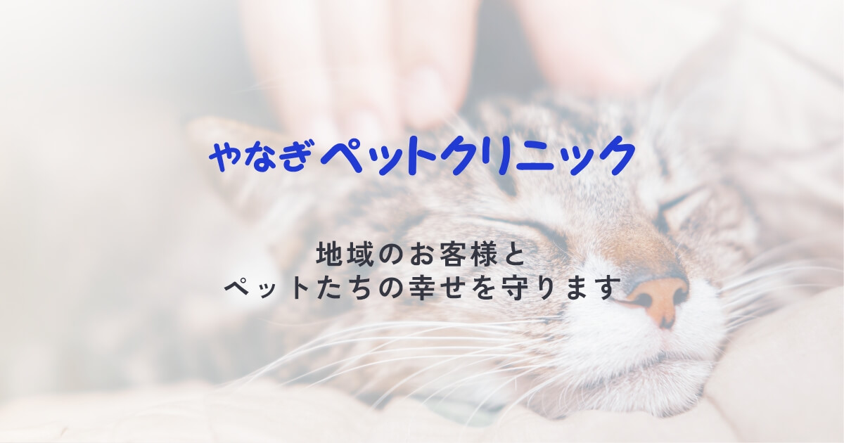 やなぎペットクリニック