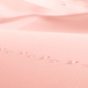 かとうどうぶつ病院