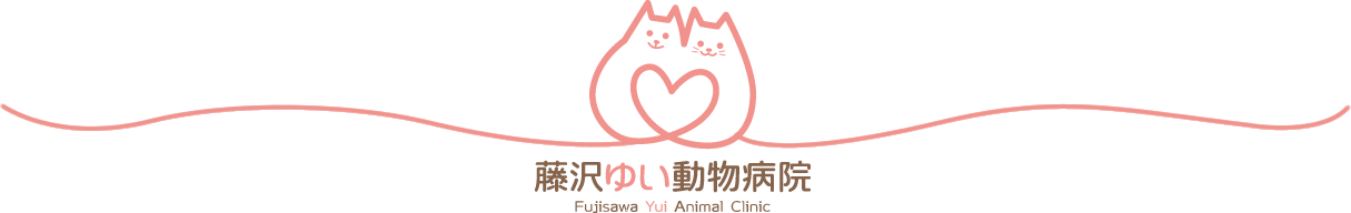 藤沢ゆい動物病院