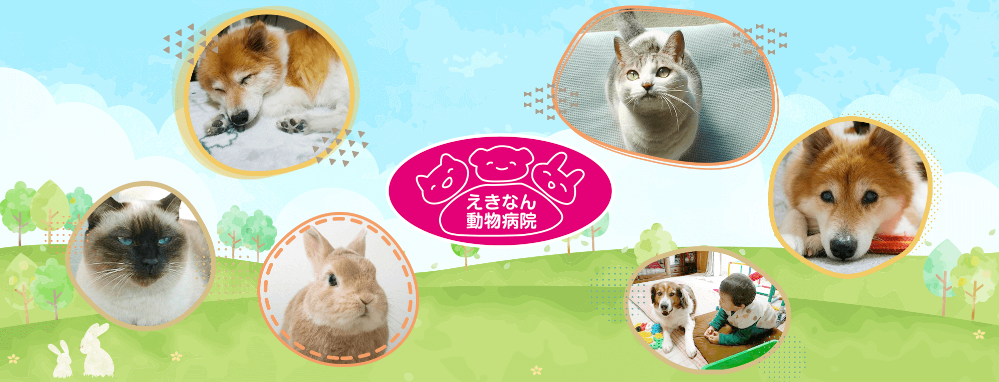 えきなん動物病院