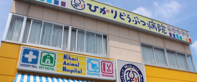 ひかりどうぶつ病院