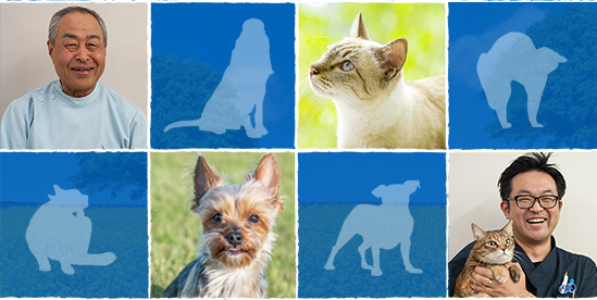 えとう動物病院