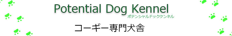 ポテンシャルドック