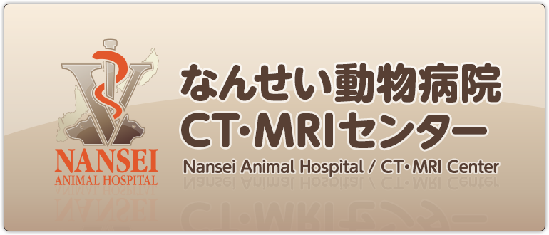 なんせい動物病院