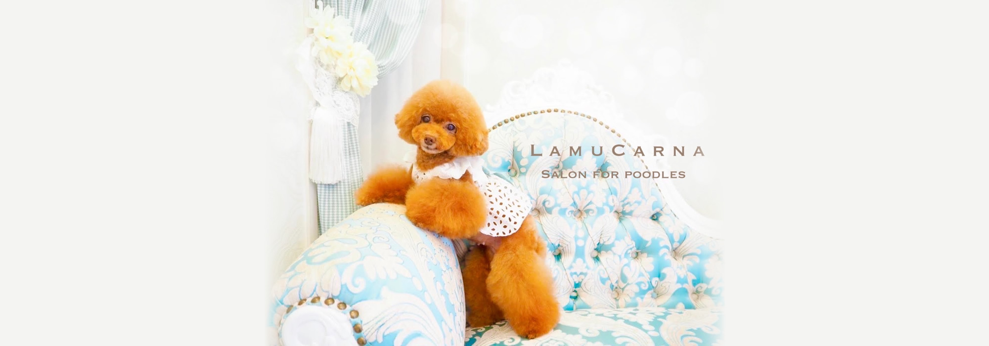 dogsalon LamuCarna（ラムカーナ）